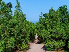 -磬锤峰森林公园