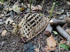 -西双版纳基诺山寨