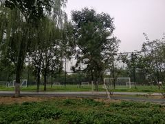 -回龙观体育文化公园