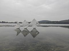 -上海月湖雕塑公园