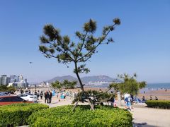 -青岛石老人海水浴场