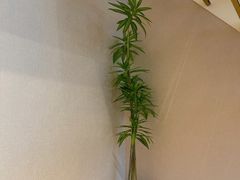 -粉墨·阅湖酒店(湖南广电中心店)