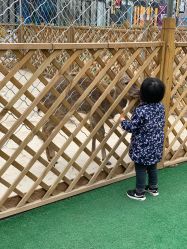 -萌宠亲子动物乐园(槐房万达店)