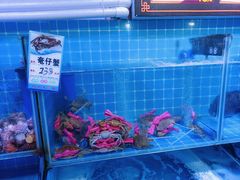 -台山美食一绝阿四台山黄鳝饭(阿四创作店)