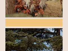 -星尚嫁日(红星国际广场店)