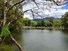 -韶山毛泽东同志故居