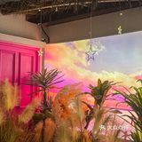 被泰国大使馆认证过的泰菜入驻金华世贸啦