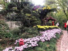 -汇龙潭