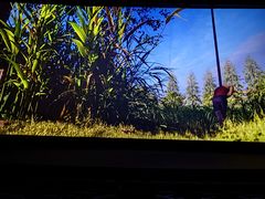 -横店电影城(李沧店)