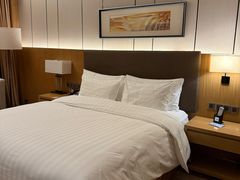 -徐州博顿温德姆酒店(高铁东站店)