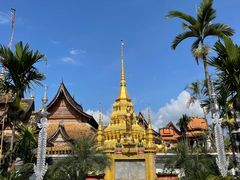 -西双版纳傣族园