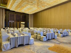 -武汉富力威斯汀酒店·宴会厅