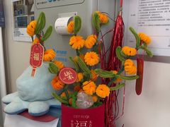 -美联众合爱康动物医院•复杂内科•肿瘤科•牙科•腔镜诊疗中心
