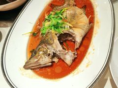 桂花鱼（清蒸）-炳胜品味(海印总店)