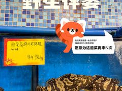 -蚝专家(北滘店)