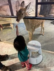 -酷嗒动物文化乐园(cutezoo西溪乐天城店)