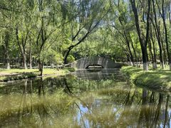 -长白岛森林公园