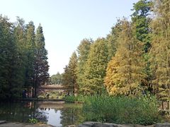 -云溪植物园