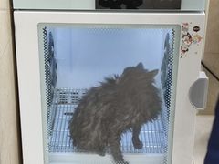 -佳雯宠物医院·皮肤科·内外科(春晓路分院)