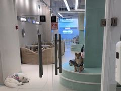 -怪兽屋·羊驼·猫咖·狗咖(俊华广场店)