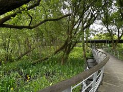 -西湖风景区-江洋畈生态公园