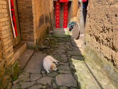 -杨家堂村