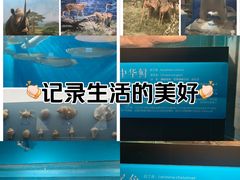 -国家自然博物馆