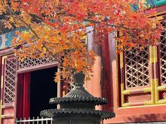 -香山公园
