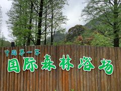 -广州市石门国家森林公园