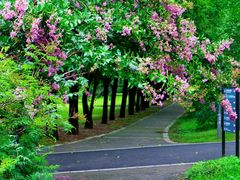 -国家植物园南园