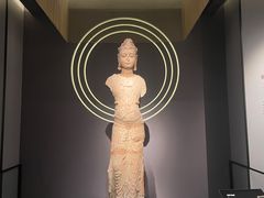 -四川大学博物馆