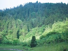 -武陵山森林公园