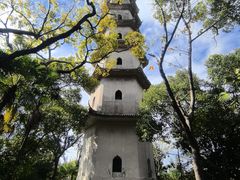 -江心屿景区