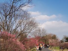 -西溪国家湿地公园