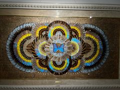 -上海昆虫博物馆