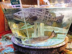 景观位-德胜轩正宗顺德菜(宝安沙井会展中心店)