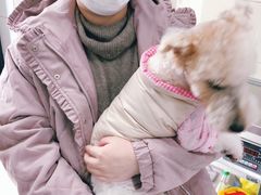 -申普宠物医院·眼科·心内科·影像科(普陀分院)