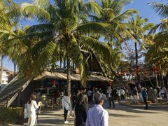 -海南分界洲岛旅游区