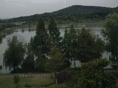 -羊山湖公园