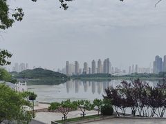 -月湖风景区