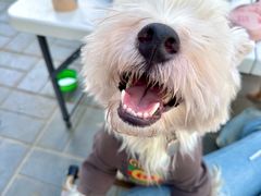 -小意思咖啡店(草桥店)