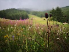 -驼梁风景区