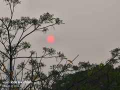-深圳人才公园