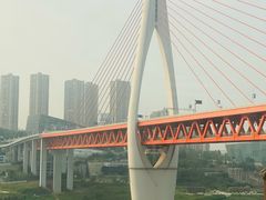 -嫩芽 ·地道重庆菜(十八梯露台夜景店)