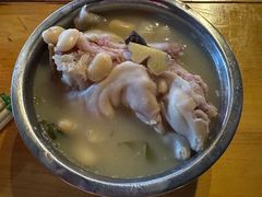 -胖娃滋补蹄花