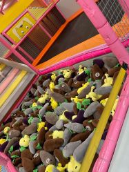 -宝贝渡口儿童游乐园(华南安盛店)