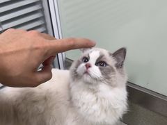 -美美宠物诊疗中心·异宠·骨科(滨江东信分院)