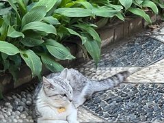 -李叔同故居纪念馆