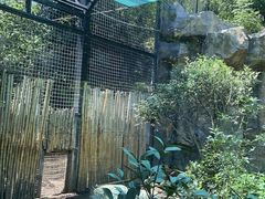 -红山森林动物园