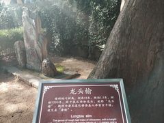 -青岛崂山太清宫